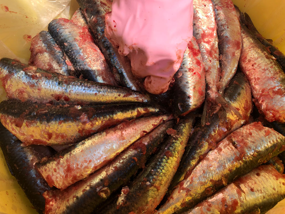 樽に隙間なく並べる