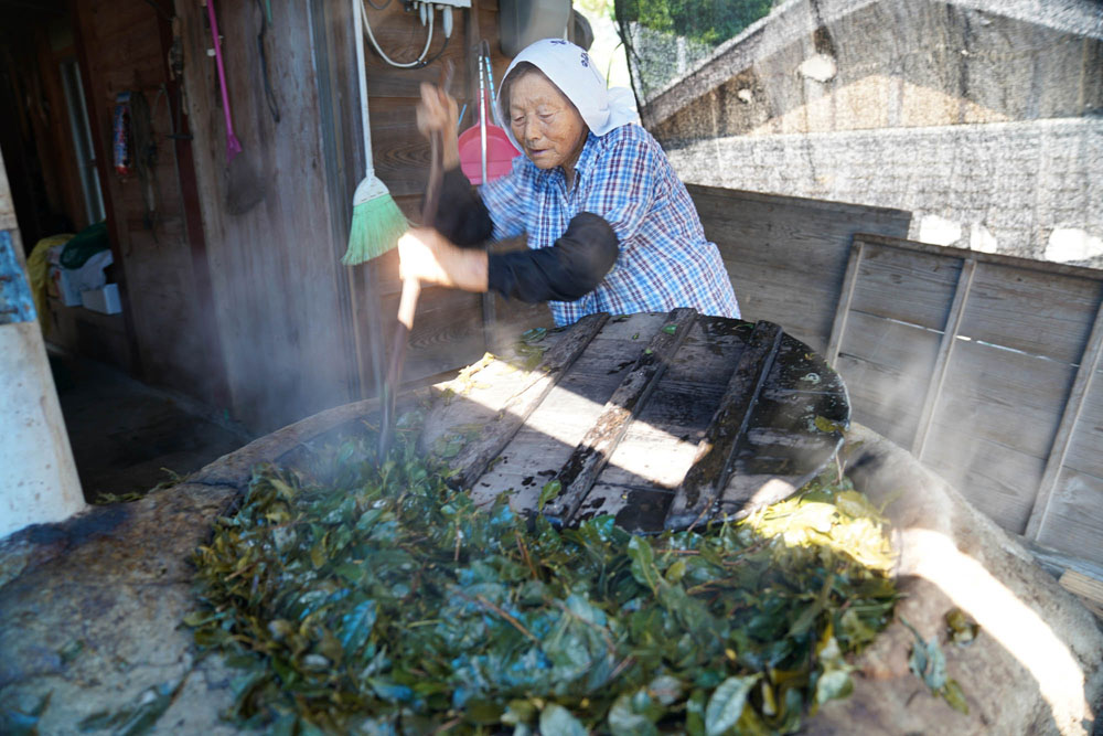 【ようこそ発酵蔵へ】真夏の炎天下につくる発酵茶「相生晩茶」