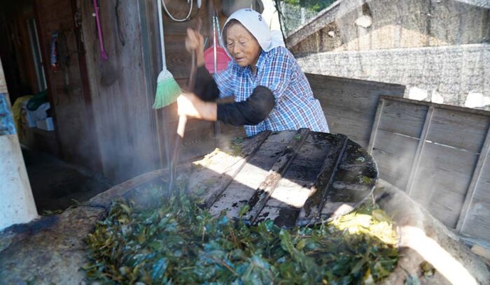 【ようこそ発酵蔵へ】真夏の炎天下につくる発酵茶「相生晩茶」