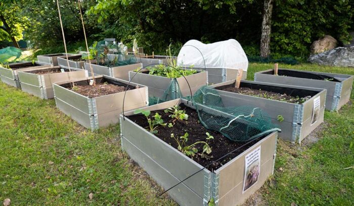 物価高騰が後押しに？家庭菜園に取り組む若者が増加中