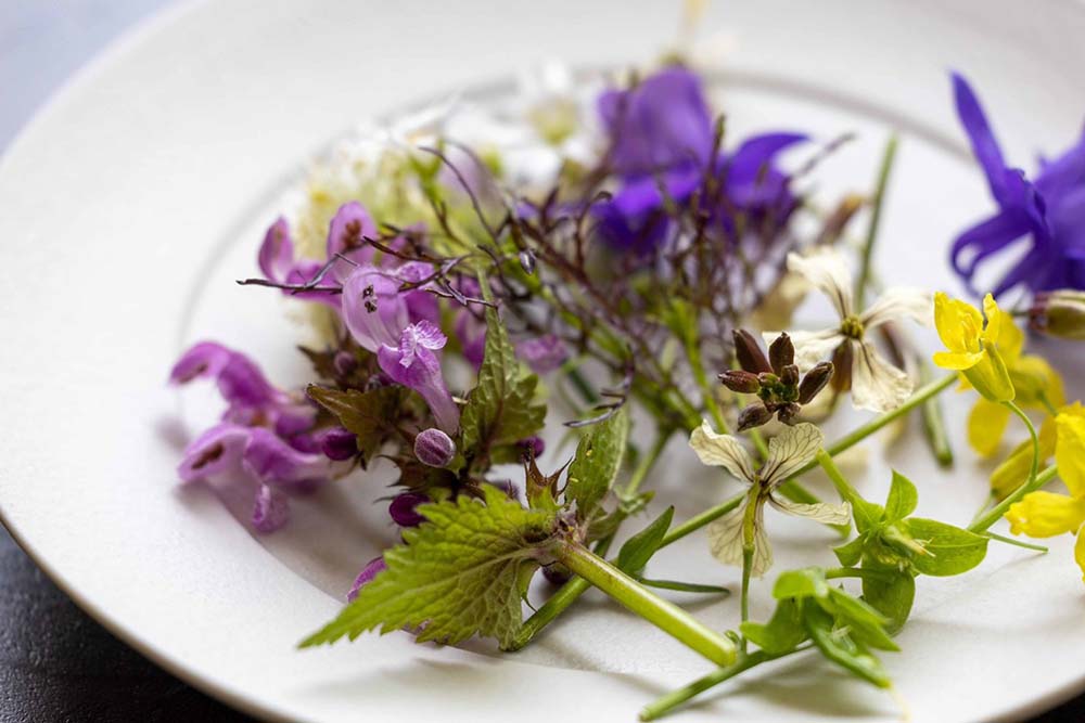 （写真）5000㎡の耕作地に耕作専門の日本人スタッフがいる贅沢な環境。レストランで扱うすべての野菜の自家栽培を目指している。