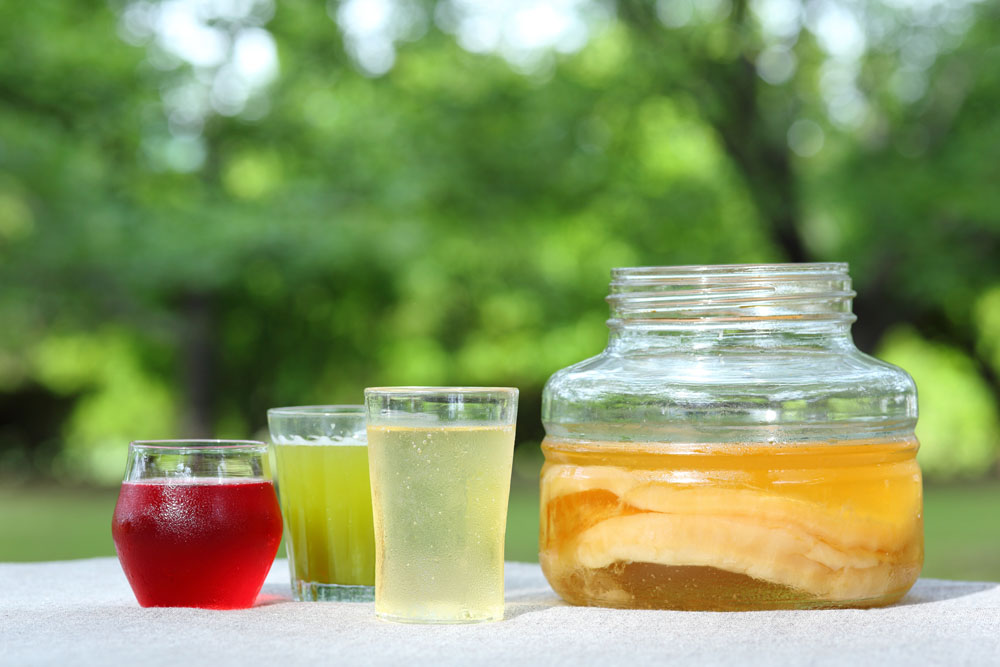 【DIYレシピ】セレブも愛飲!?発酵スパークリングティー「コンブチャ」の作り方