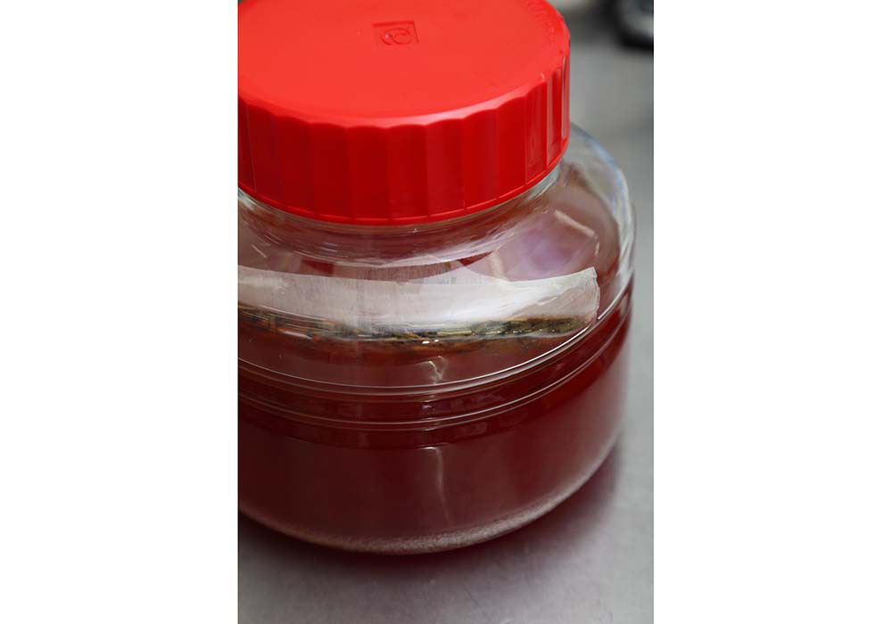 室温で発酵させる