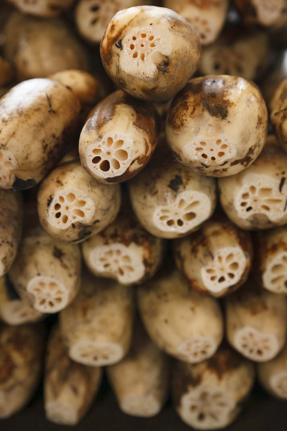 強い粘りが信条。蓮根を余すところなく食べ手に届ける。加賀蓮根［石川］未来に届けたい日本の食材