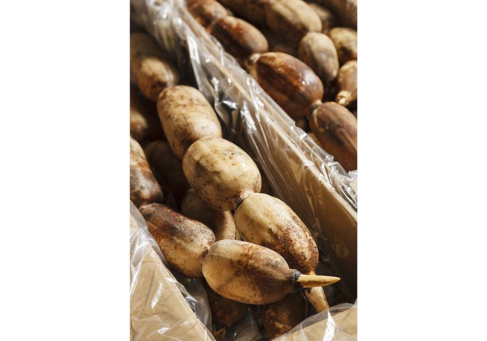 縁起ものの蓮根は贈答用の需要も多く、特に年末は引き合いが多くなる。