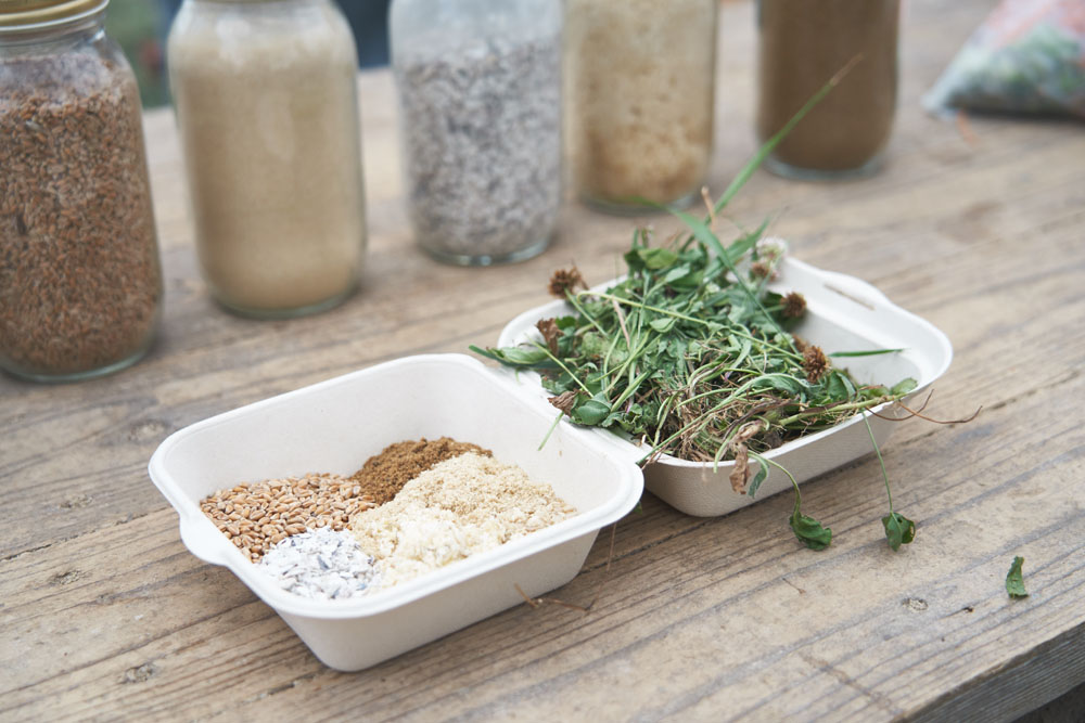 鶏の主な餌となる米、麦、米糠、牡蠣殻、魚粉、おからと緑草。おからはスタッフが通勤途中の豆腐屋さんから譲り受けてきます。「発酵させて消化しやすくしてから使っています」