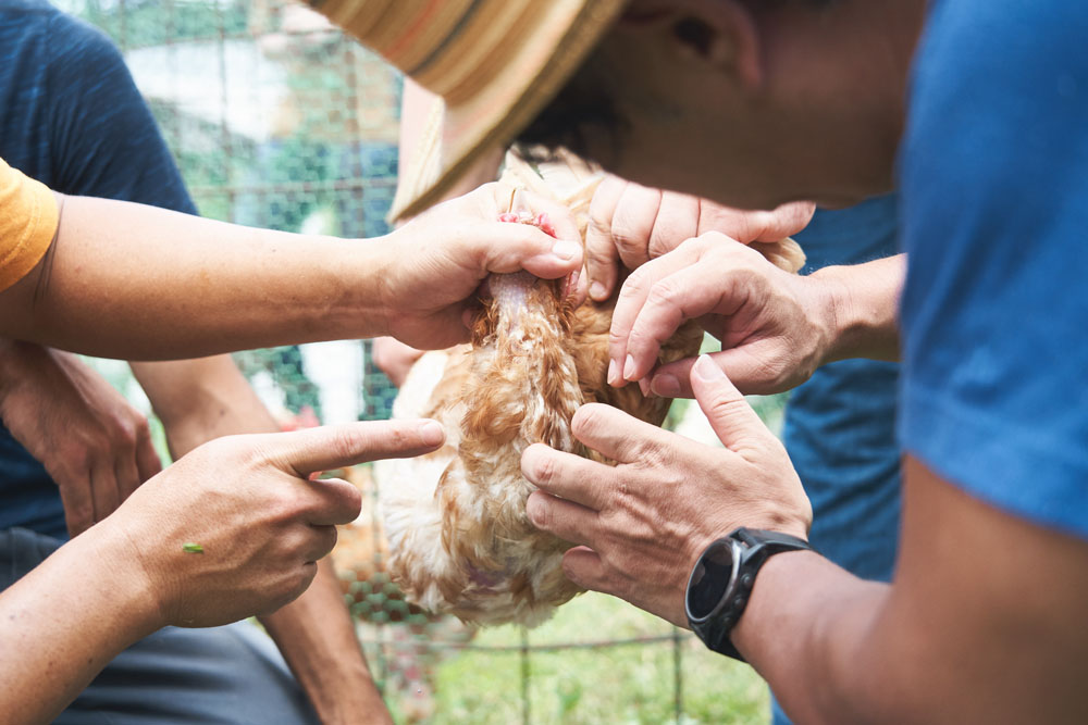 渡辺シェフが、ひとつひとつのプロセスを丁寧に説明。「手で触って、温度や感触を感じ取ることが大切です。私たちがいただいているのが命であると実感できるから」