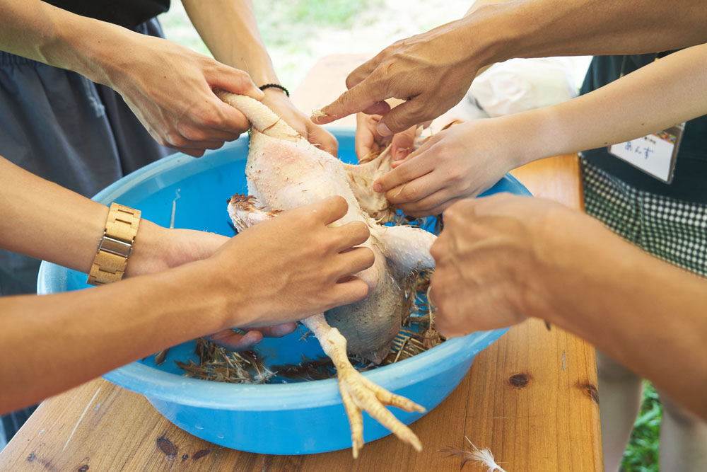 ４人ずつのグループに分かれて実践。「意外にすっと羽根が抜けるんだ」、そんな感想も実際にやってみればこそ。
