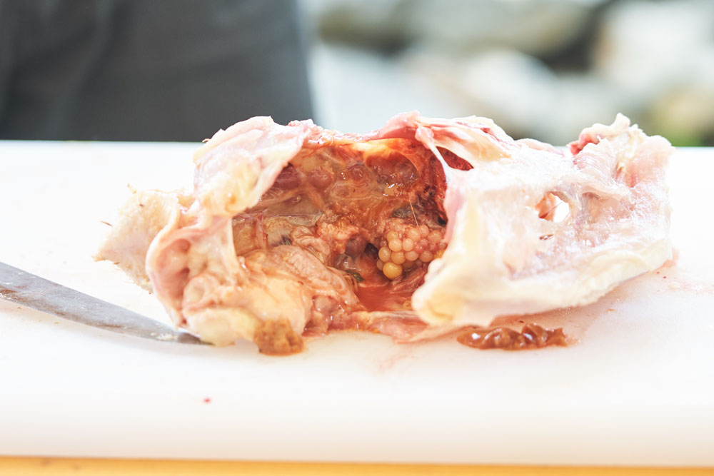 渡辺シェフが開いて見せてくれた鶏のお腹。小さなキンカン（卵胞）が連なり、卵が準備されているのがわかります。「白身はいつできるんですか？」という質問も。