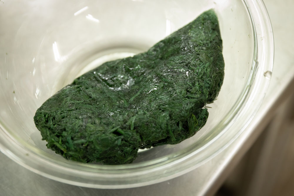 ヨモギを温める