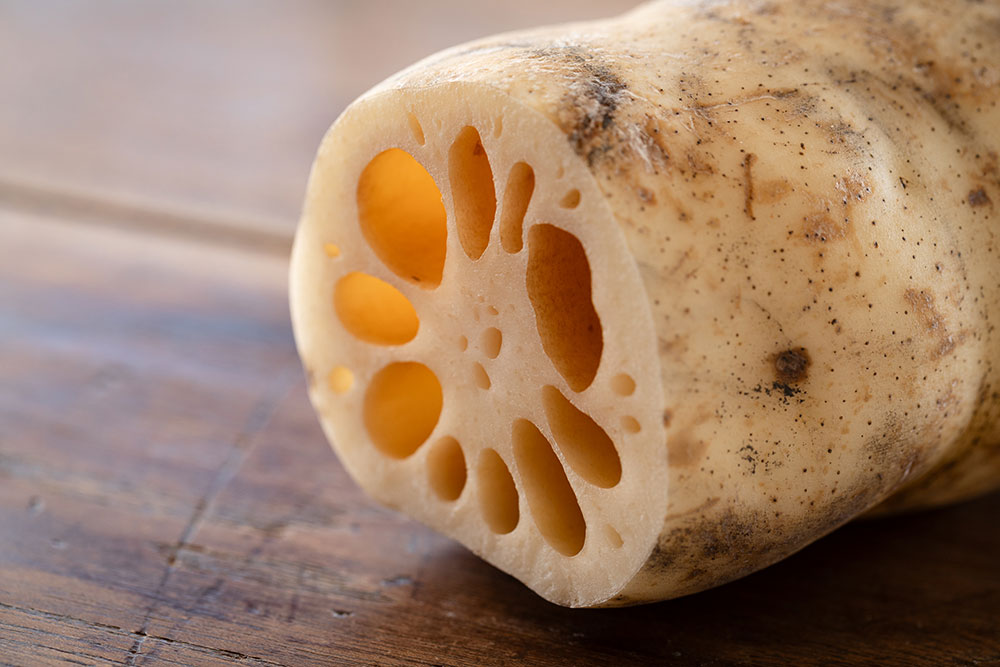 マルタマ真レンコン