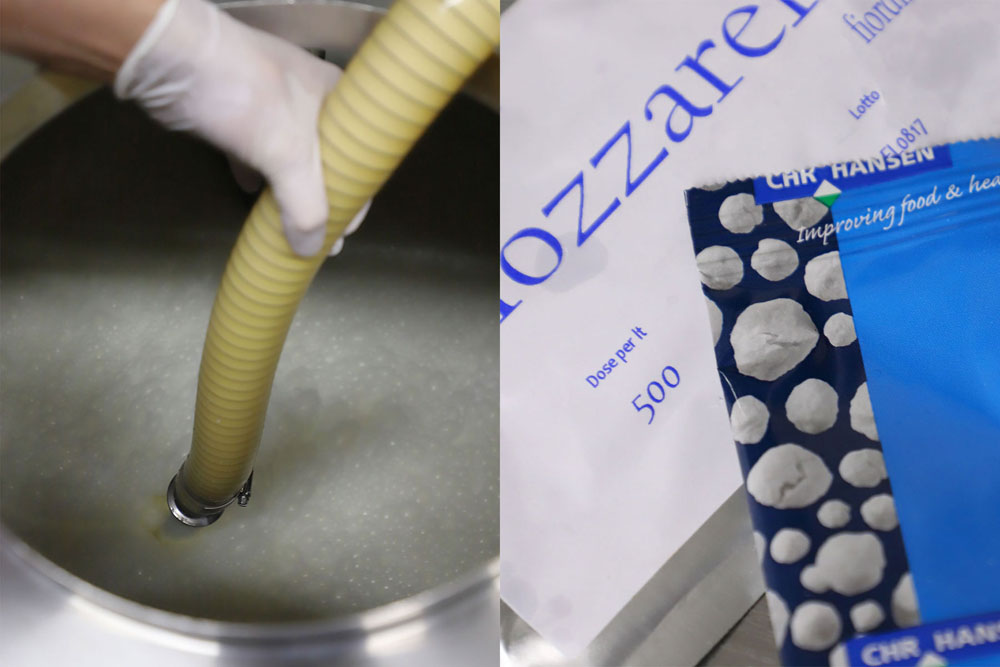 （写真左）東久留米や清瀬から毎朝搾りたての生乳400Lが運ばれてくる。 （写真右）低温殺菌後、モッツァレッラ用乳酸菌を加え、さらにレンネットを加える。