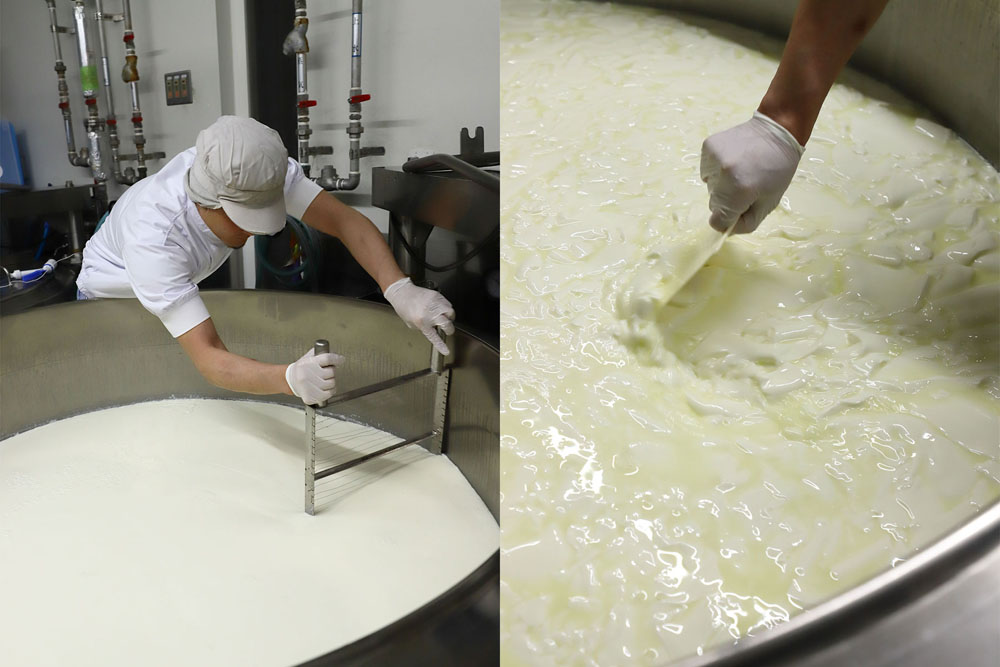 次第に固まってくる。