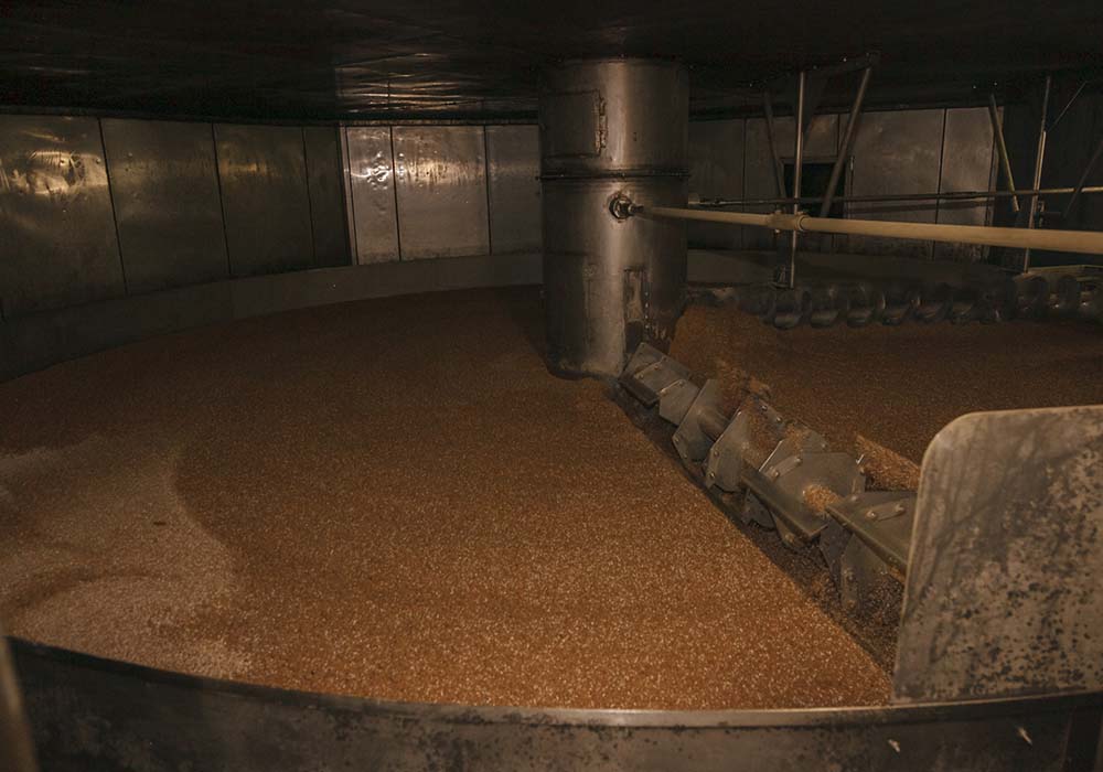 麹の仕込み風景。蒸し大豆に、炒った小麦が加えられたばかりのところ。40℃を超えると菌が死んでしまうので、35℃を超えたところからシャワー越しに風を送り、最後は25℃まで冷ます。