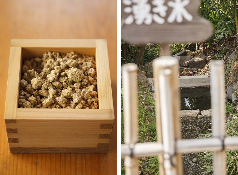 （写真左）大豆と小麦、麹菌が混ざった状態。これを桶に入れ塩水と合わせて仕込みが完了する。 （写真右）伏流水や湧き水の出るところに昔からの醤油蔵は建つ。醤油造りにも水の恵みは欠かせない。