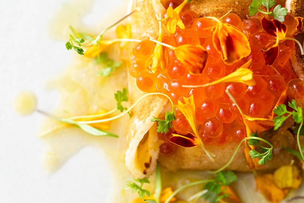 2023年９月19日（火）より茨城フェア開始！食材に生命を吹き込む、10の発想とアプローチ