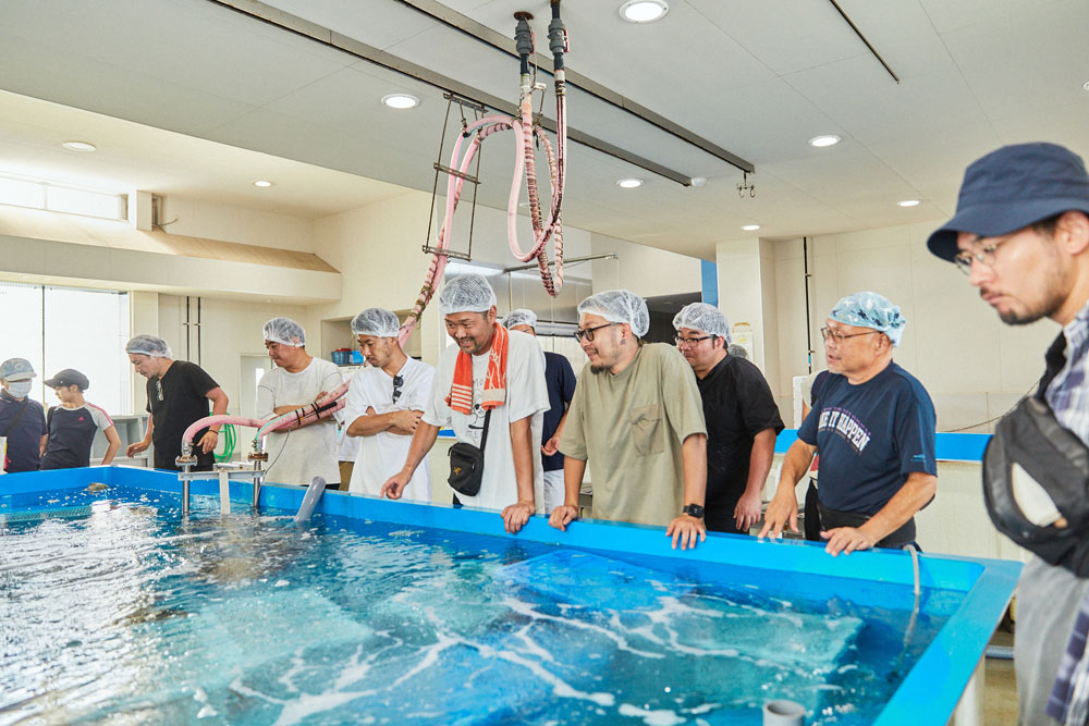 伊勢エビが泳ぐ生け簀を興味津々にのぞき込むシェフたち。