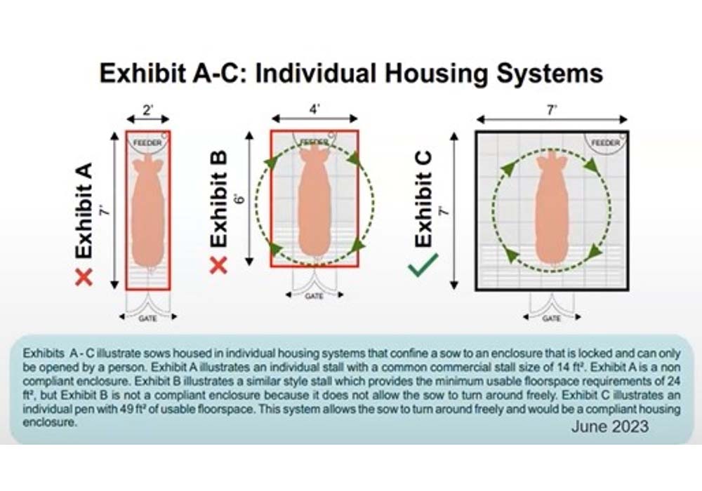 （写真）米国政府は1966年にアニマルウェルフェア連邦法を定めているが、これには家畜は含まれていない。養豚業界によると、カリフォルニア州新法順守のための豚小屋改築費用は、母豚１匹につき3,400～4,000ドルと見積もられ、これまでの施設維持費用より約40％増加する。（California Department of Food and Agriculture: CA Prop 12 