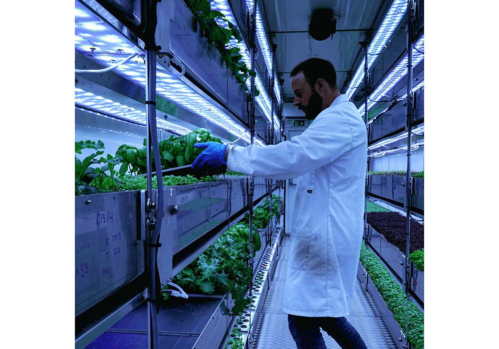 （写真）ケンティッシュタウンにあるコンテナ内のファームで作業するスタッフ。ここではレタスとマイクログリーンを栽培。エレファント＆キャッスルにあるコンテナでは、ロメインレタス、オーク・レタスなどをメインに栽培、ロンドン南東部、カナリー・ウォーフのファームでは、コリアンダー、ナスタチウムや豆苗などのハーブやマイクログリーンなどを栽培する。ロンドン市内全４カ所、９台のコンテナで、現在週に100kg近い収穫があるという。