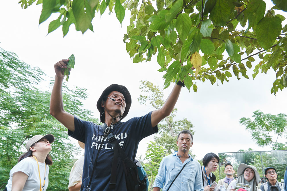 ヒメコウゾの葉を取って見せる吉田和哉さん。「１本の木に数種類の形の葉が繁ります。開花は春。ミツバチだけじゃなくて、いろんな虫が集まります」