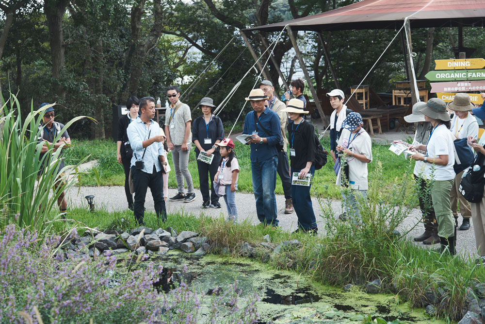森に入る前にビオトープ周辺を観察。「ミツバチの３大栄養源は、花蜜、花粉、水。花蜜で炭水化物を、花粉でタンパク質を摂取します。それらを利用するのに欠かせないのが水なんです。蜜源の近くに水があるのは重要です」