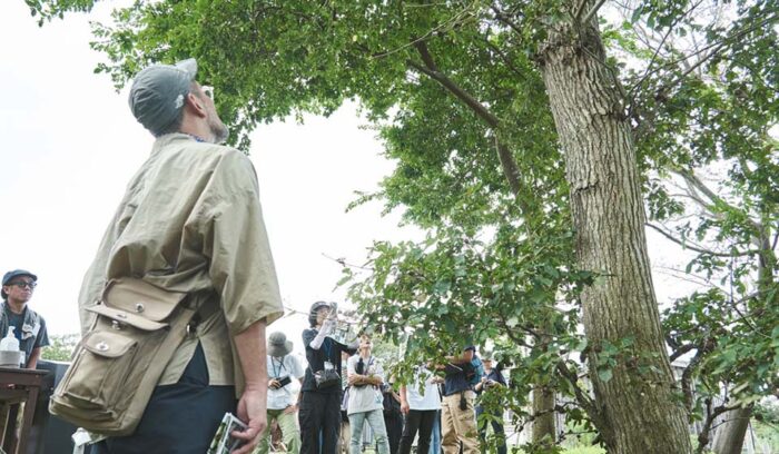 ミツバチ目線で森を巡ると見えてくる。多様性から生まれるレジリエンス。