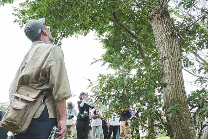 ミツバチ目線で森を巡ると見えてくる。多様性から生まれるレジリエンス。