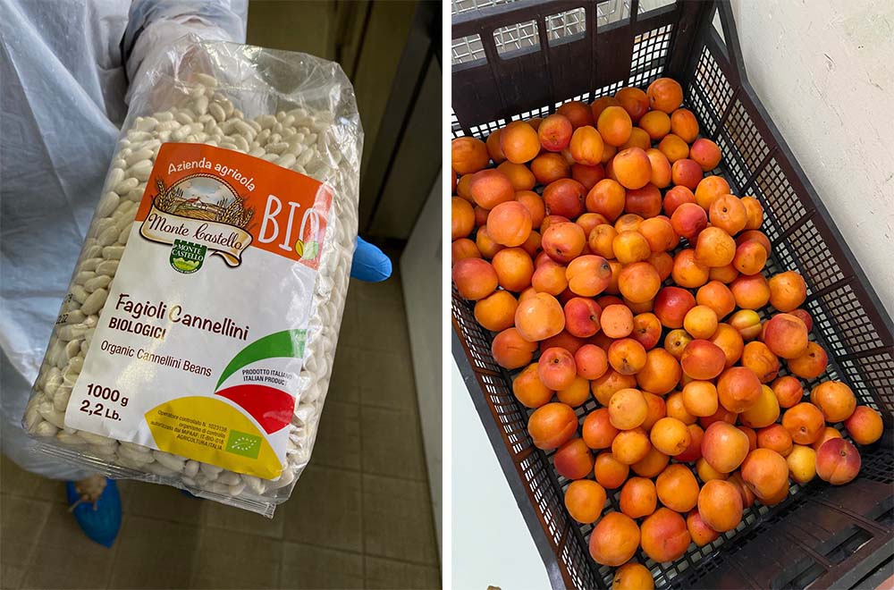 オーガニック食材