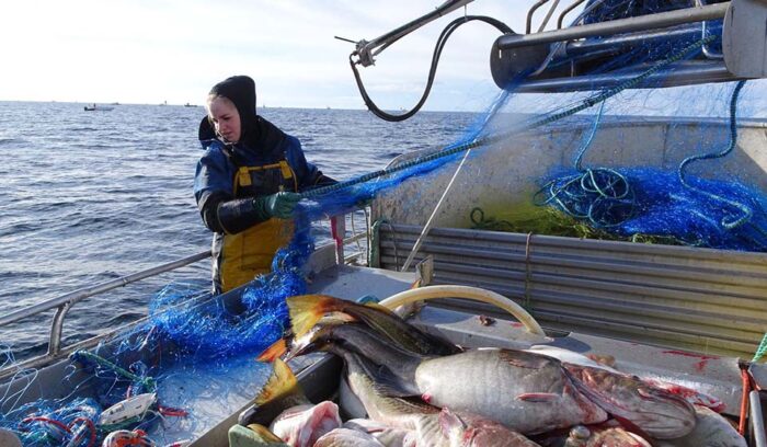 国を挙げて漁業の活性化を推進。ノルウェーでは女性漁師が増加中！