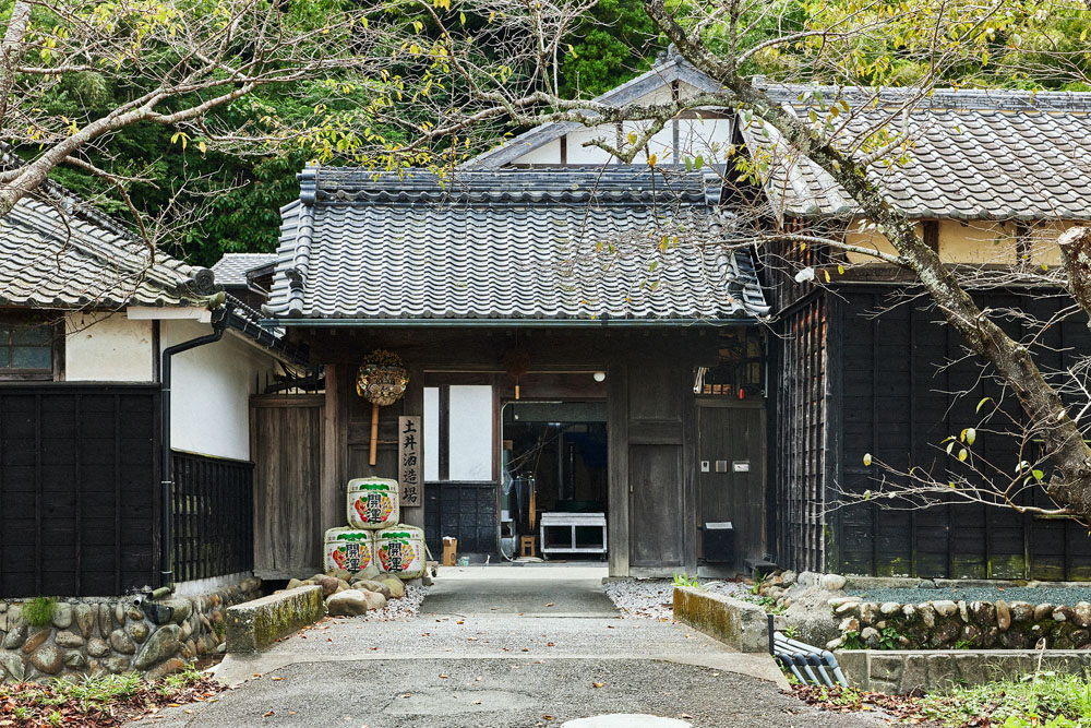 歴史を物語る立派な門構え。両側には桜の大木。