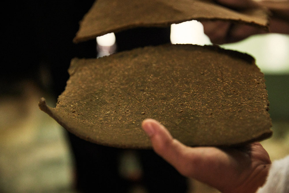 醤油の搾りかす。一部は家畜の飼料として再利用されている。