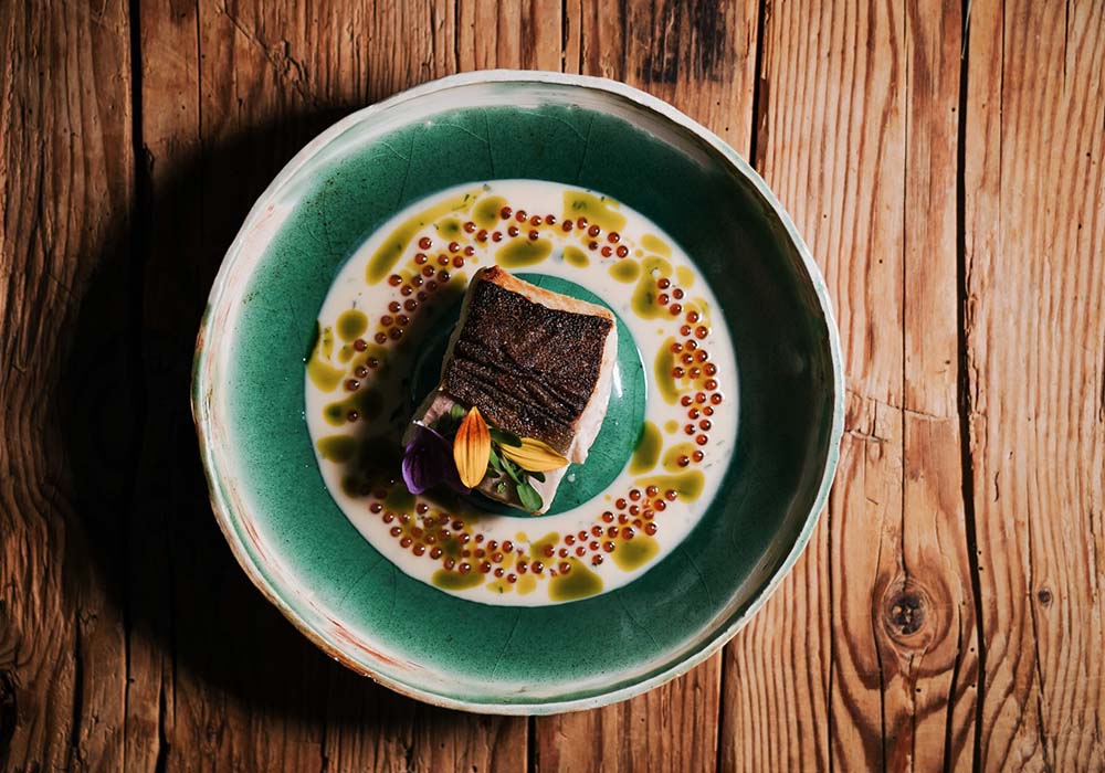 （写真）アルプス渓谷の清流に住むイワナの一種をガルムでマリネすることで、川魚のデリケートな味わいにコクを与えると同時に、皮目に火が通りやすくなり、カリッと焼きあがる。ソースはカリフラワーのピュレに、魚と乳の２種類のガルムを合わせたもの。