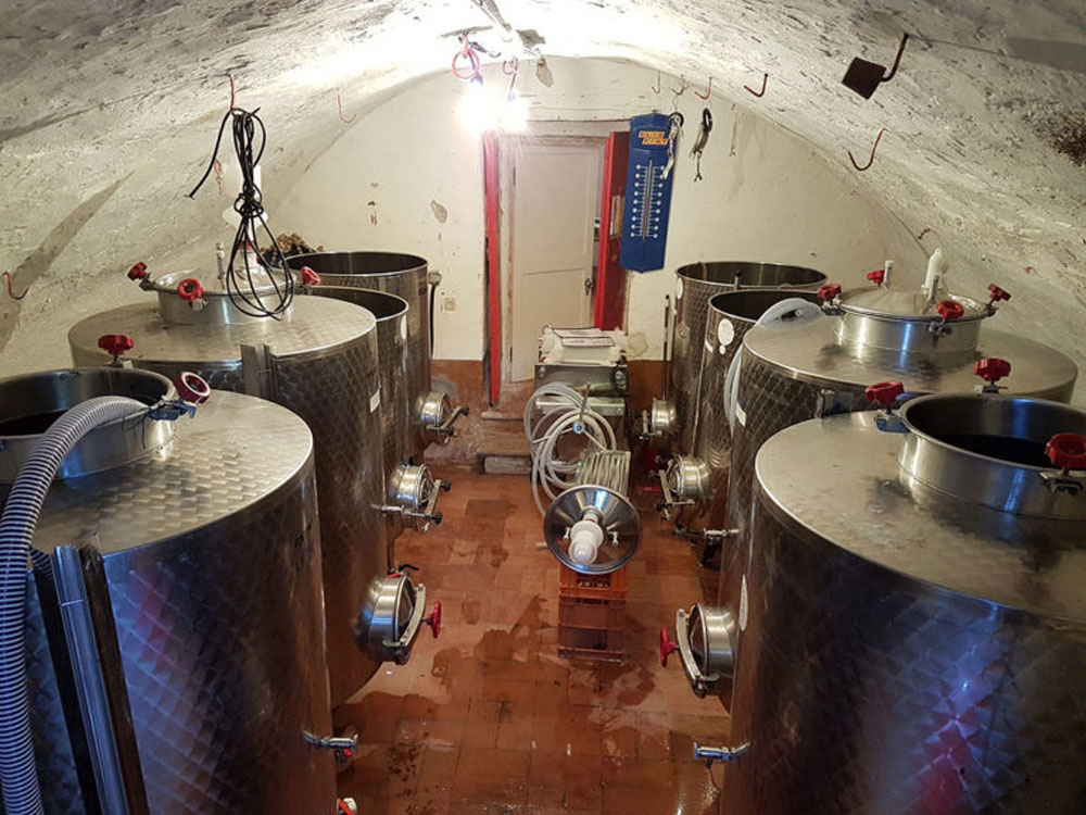 白ブドウ品種ヴィッサネッロ