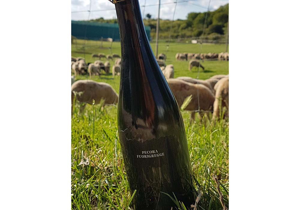 スティルワイン