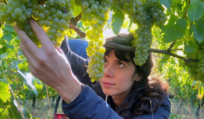 クリスマスに贈りたい　心に故郷がある人の夢を実現する物語