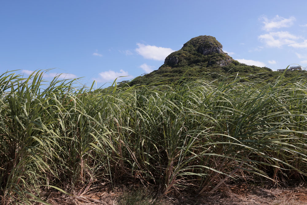 島ごとに味が異なる「沖縄黒糖」