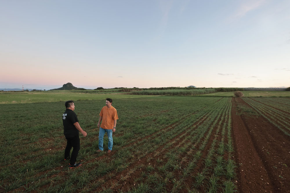 「いえじま家族」・主の玉城堅徳さん（左）に案内され、島の高台にある江島神力の畑に立つ宮﨑シェフ（右）。心地よい風が吹き抜け、遠くには島のシンボルである城山が見える。