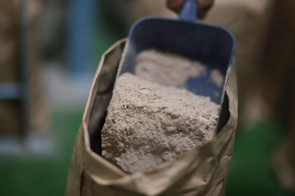 製粉を終えた全粒粉は、きめ細やかでやさしい色合い。