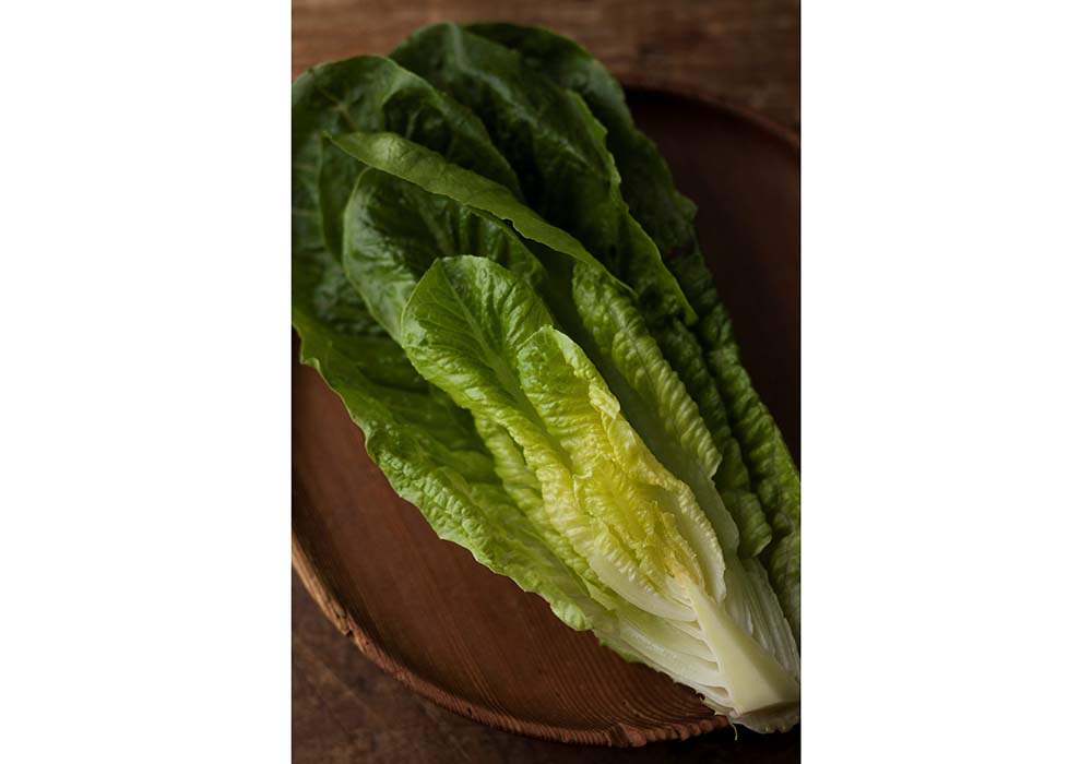 ロメインレタス