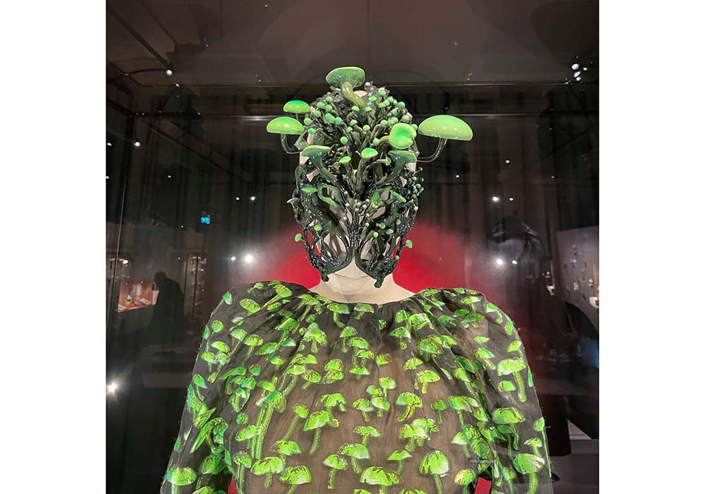 キノコの世界へようこそ　科学から衣類、建築まで菌類の可能性を知る