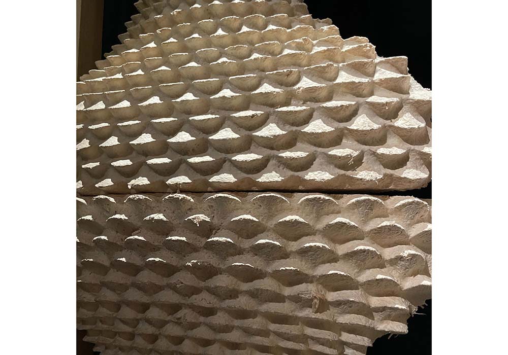 （写真）ミセリウム（菌糸体）の介助を経て、農産物の生産過程で生じる余剰食材や廃棄物がエコフレンドリーで値段も手頃な建築素材へと生まれ変わる。