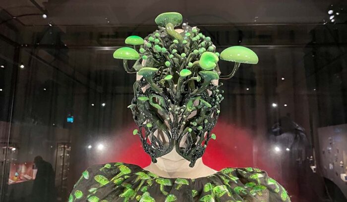 キノコの世界へようこそ　科学から衣類、建築にまで広がる菌類の可能性を知る