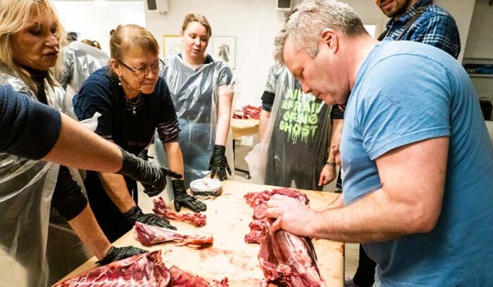 先住民族の伝統を守るために　サーミ人のためのトナカイ解体教室