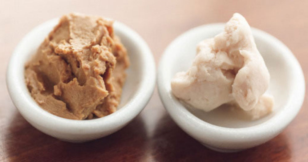 右が今年絞った粕、左が１年熟成させた練り粕。練り粕は新粕に比べ柔らかでコクが深く、漬け床に便利。