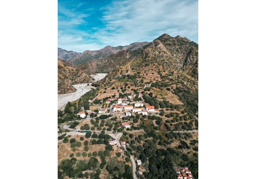 “I giardini di Bergamotto erano una fortuna per chi li possedeva, non per niente erano delle famiglie diproprietari terrieri tanto che il frutto era stato battezzato “l’oro verde della Calabria”.