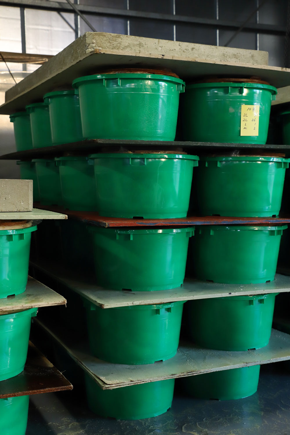 樽に漬け込み常温で10日ほどおく。