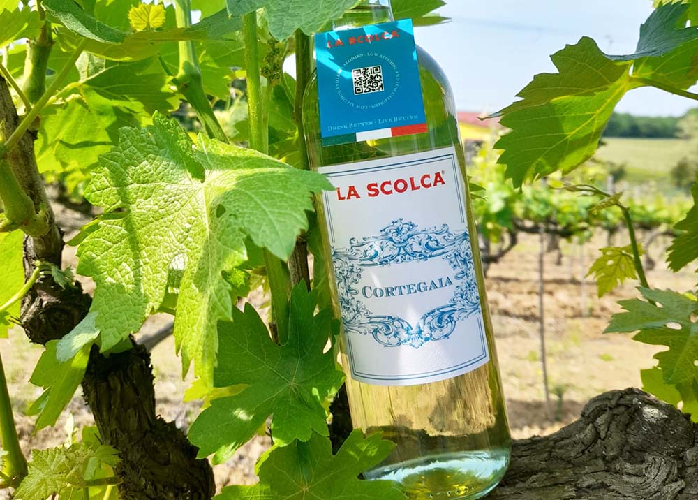 ピエモンテの名ワイナリーが造るアルコール度数10％以下のワイン