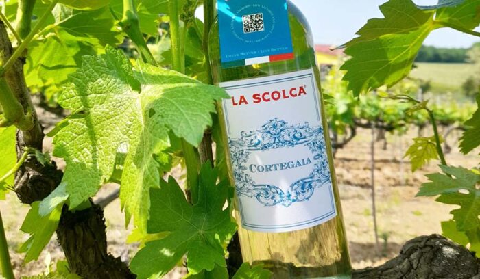 ワイン離れの歯止めとなるか？　ピエモンテの名ワイナリーが造るアルコール度数10％以下のワイン