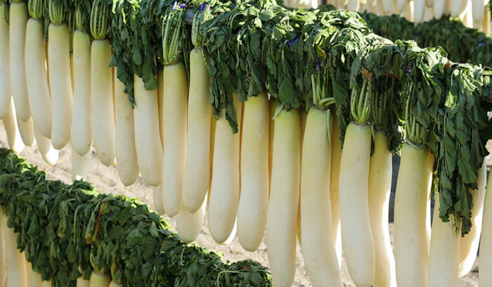 【ようこそ発酵蔵へ】大根の味がする「たくあん」