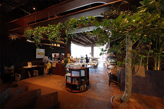 イートリップ・ソイル